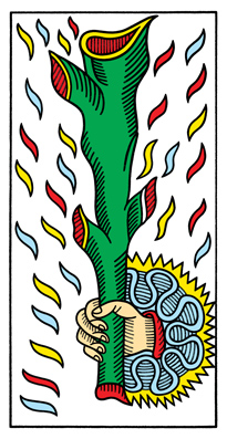 Ace of Wands
